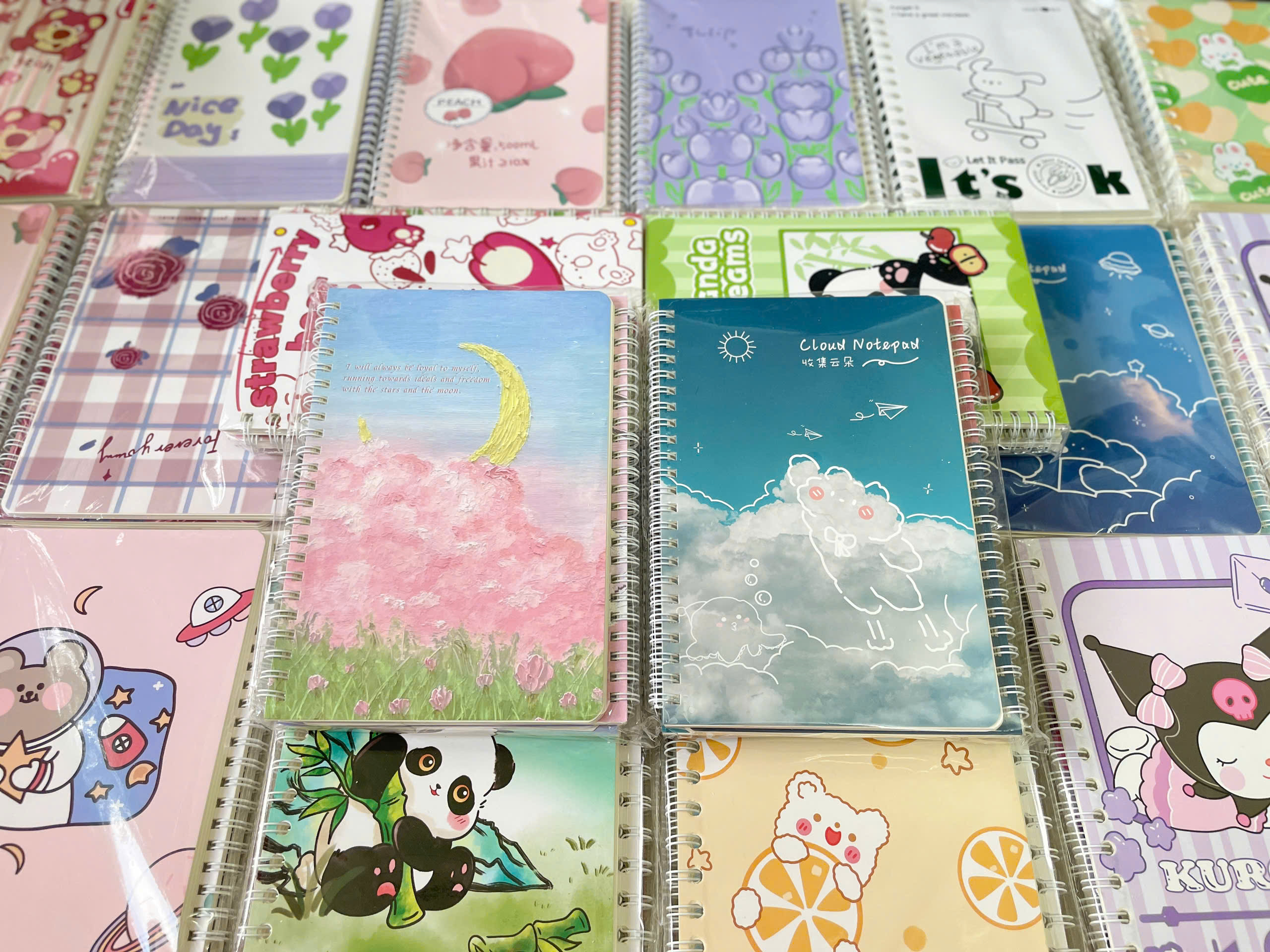 Lốc 4 Sổ Lò Xo A5 Nhiều Mẫu ND01339