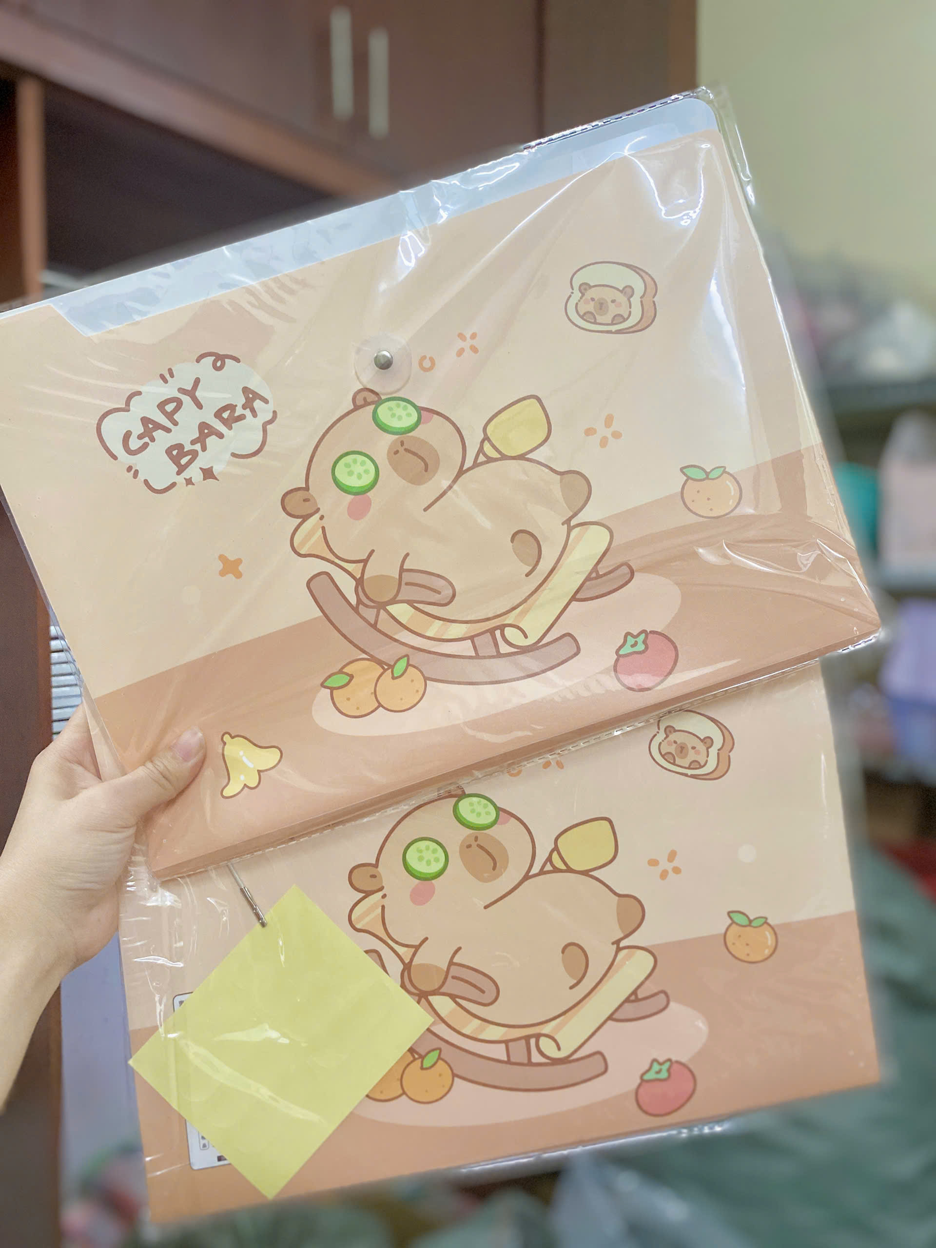 Bìa Đựng A4 ND01885