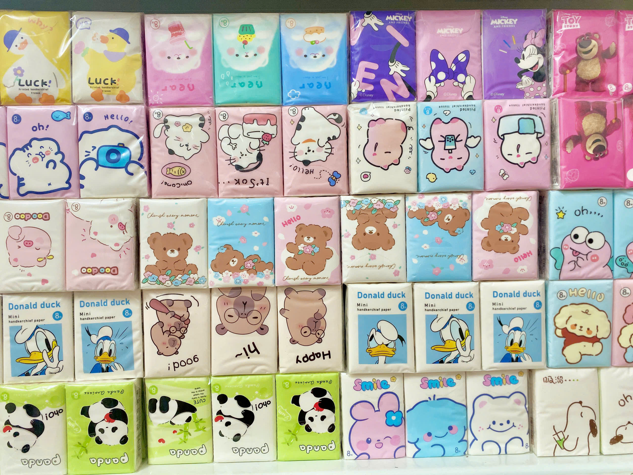 Túi 9 Khăn Giấy Khô RC04151