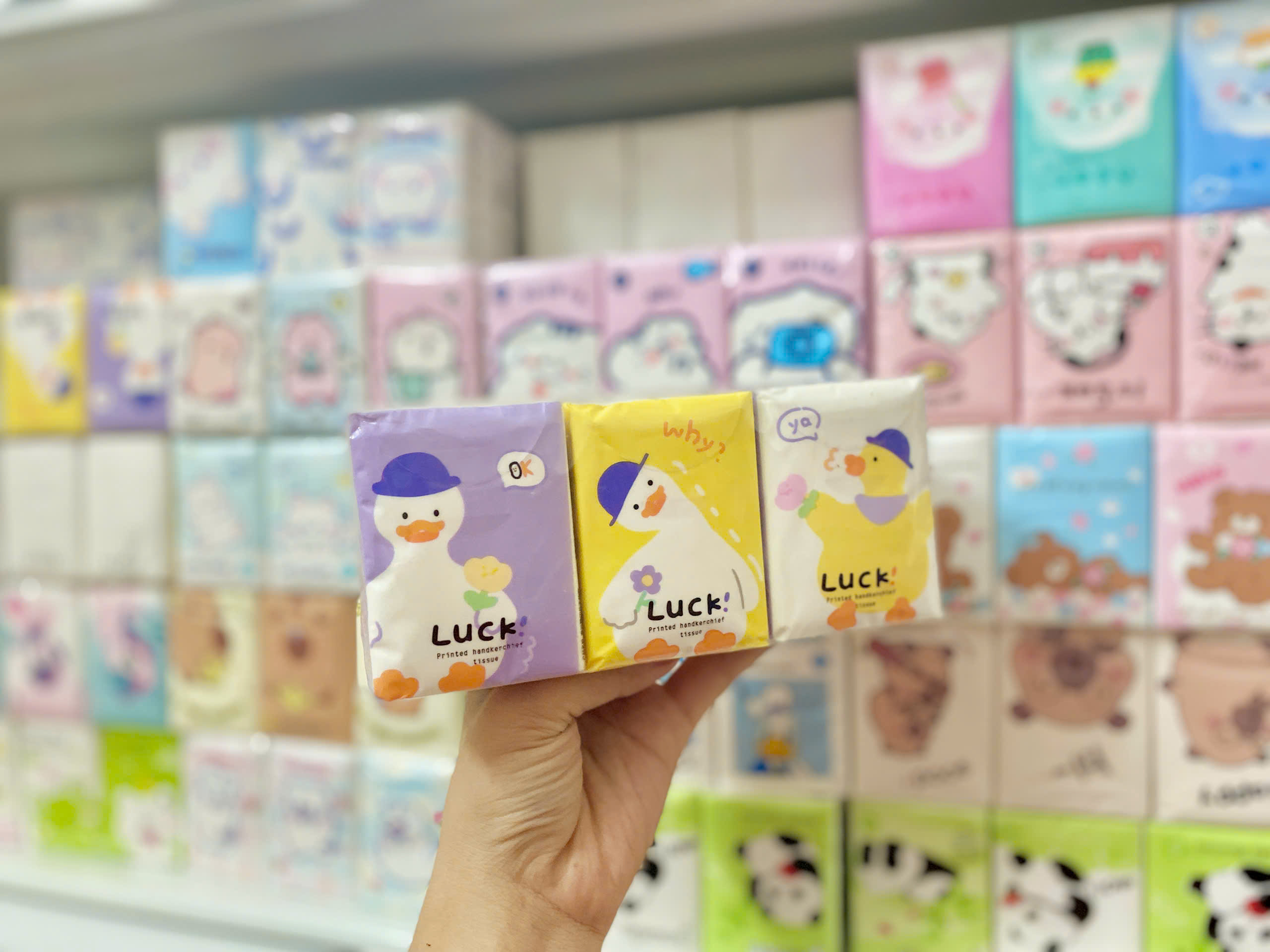 Túi 9 Khăn Giấy Khô RC04151