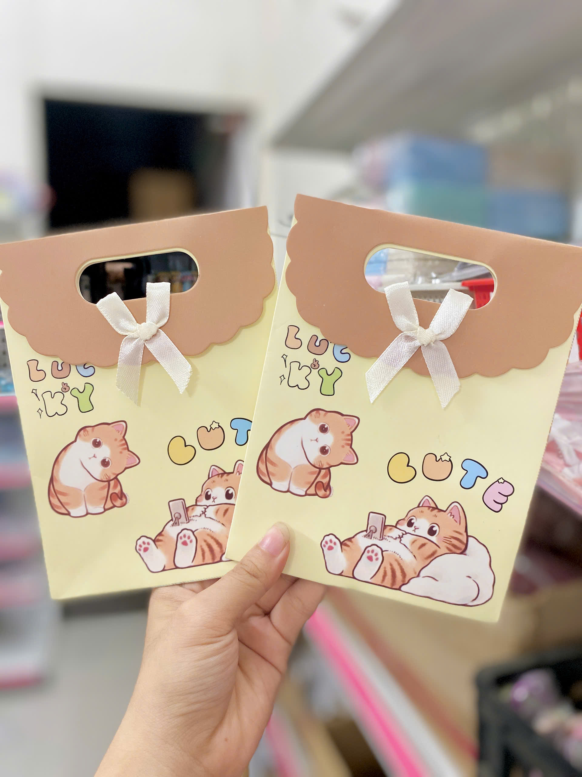 Túi Qùa Có Nắp Mini 12.5*16.5*6cm