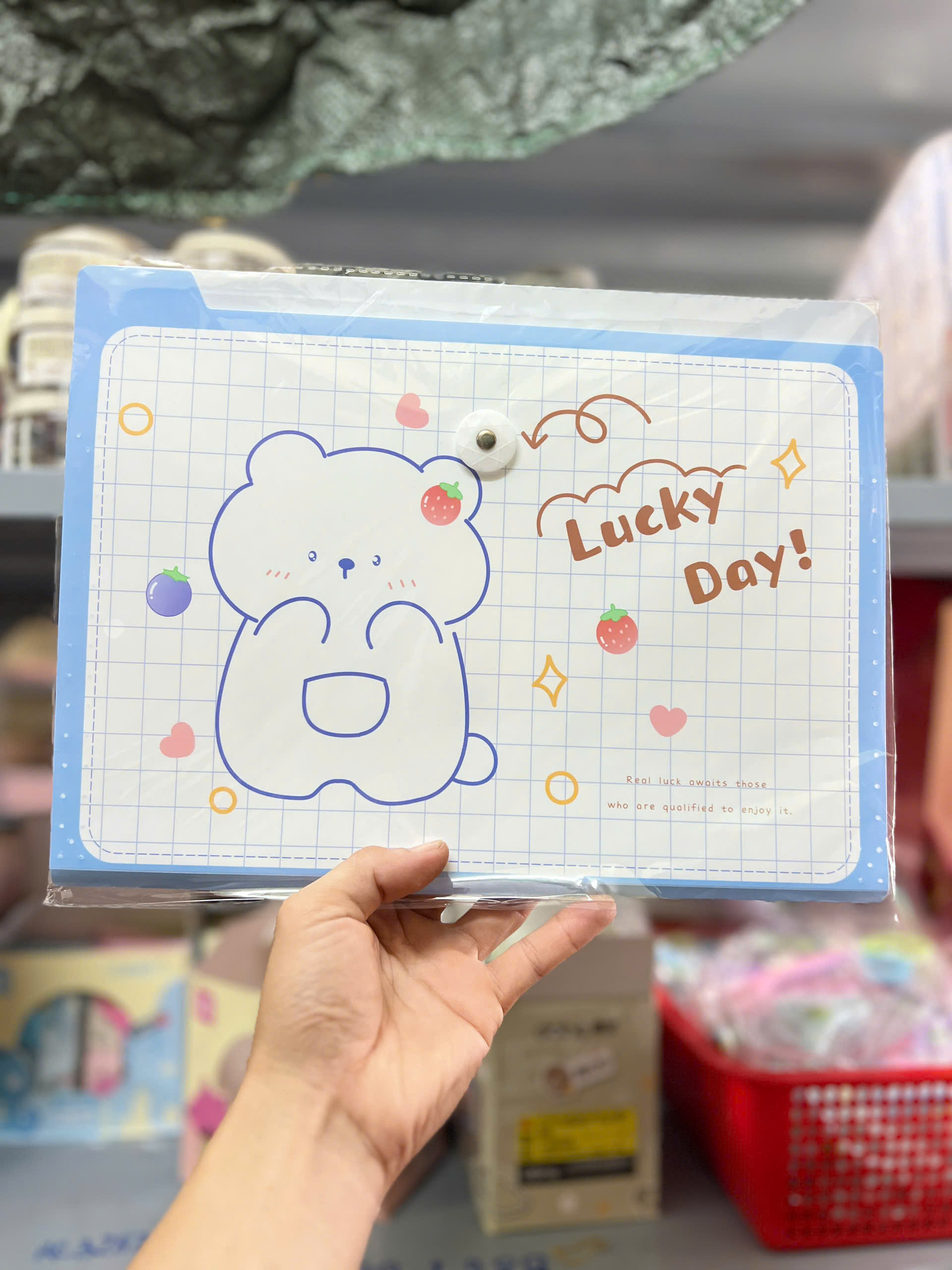 Bìa 8 Ngăn Có Thun Cài