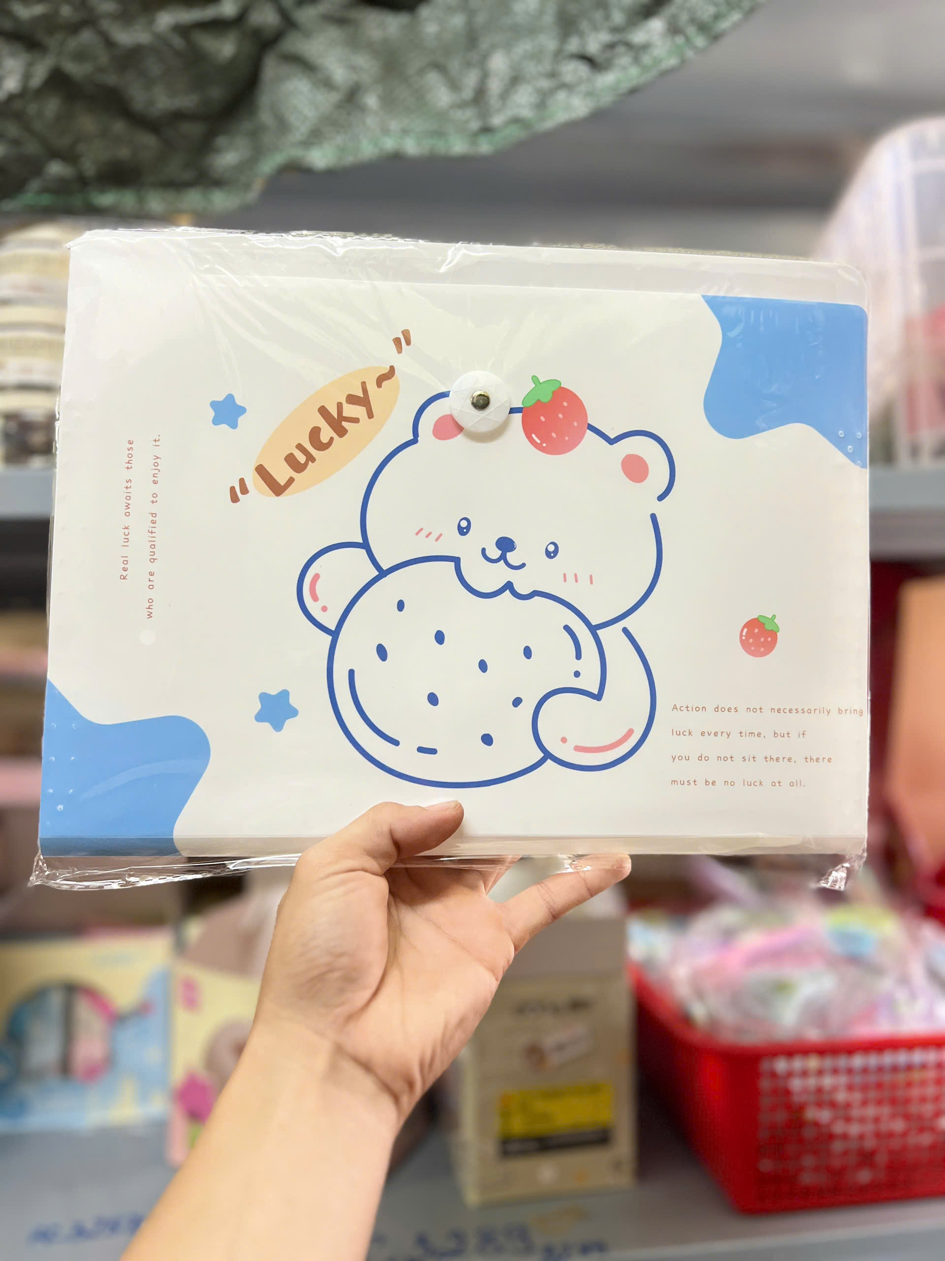 Bìa 8 Ngăn Có Thun Cài