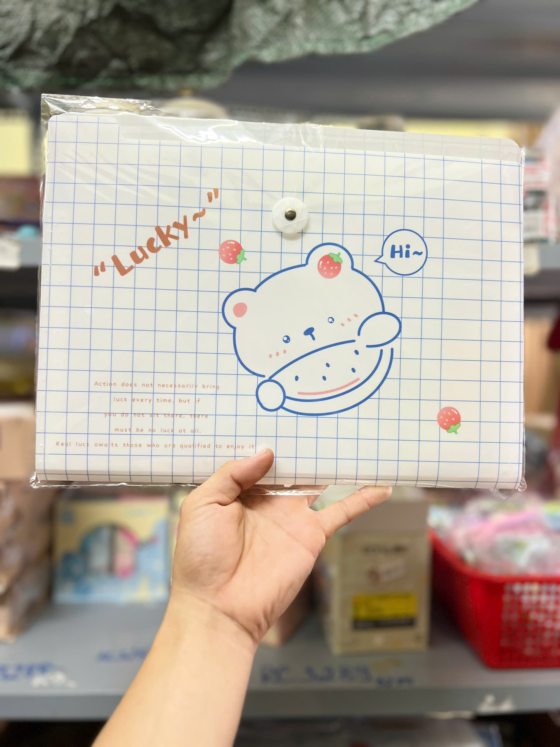 Bìa 8 Ngăn Có Thun Cài