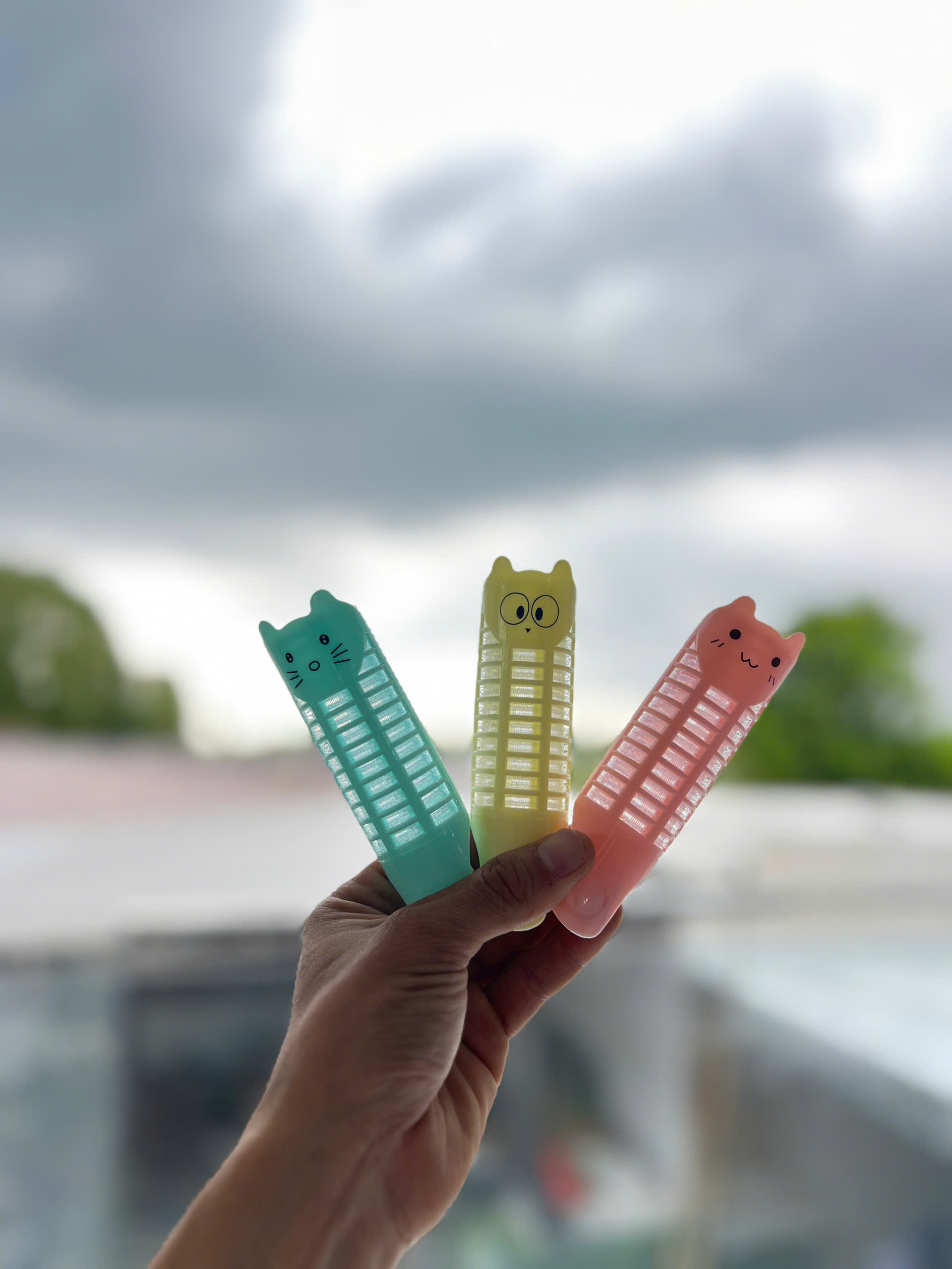 Set 12 Lô Mái Mèo