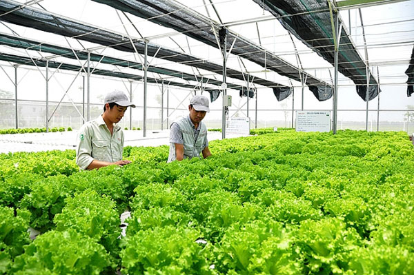 TUYỂN 2 NAM NÔNG NGHIỆP TRỒNG TRỌT - AICHI