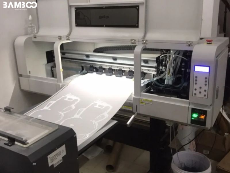 Công nghệ in pet được phân loại thành hai hình thức chính gồm in pet thường và in pet 3D