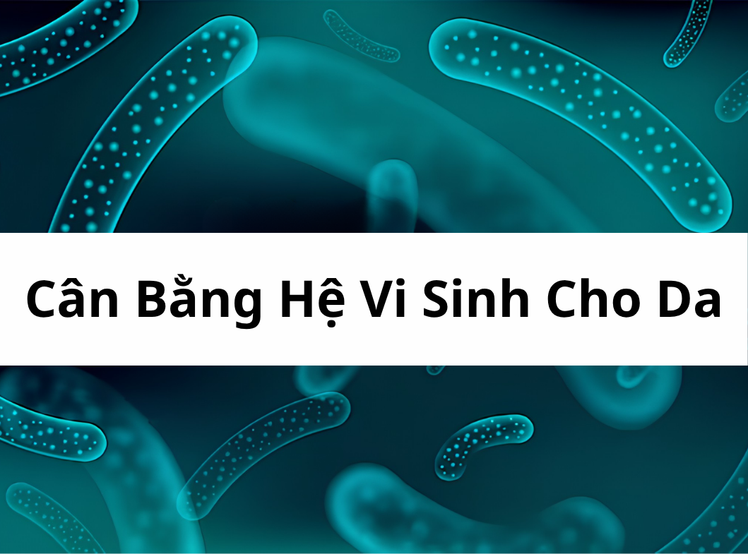 Cách Cân Bằng Hệ Vi Sinh Cho Da Khỏe Đẹp Chỉ Với 3 Bước Đơn Giả