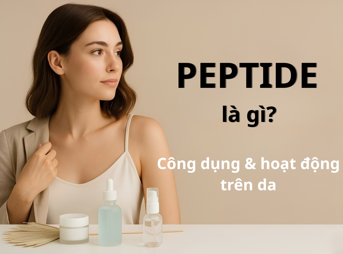 Peptide Là Gì? Công Dụng Và Cơ Chế Hoạt Động Trên Da