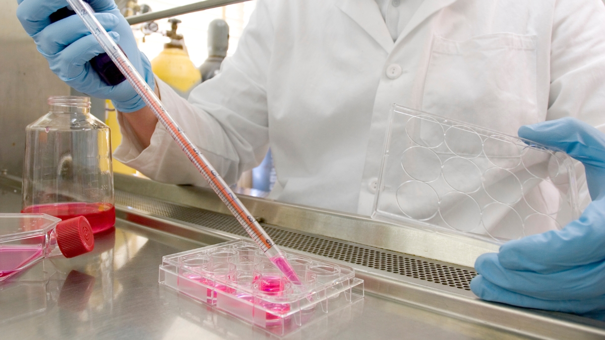 Dùng tế bào gốc có tác dụng gì? Điểm danh tác dụng trong y khoa và làm đẹp