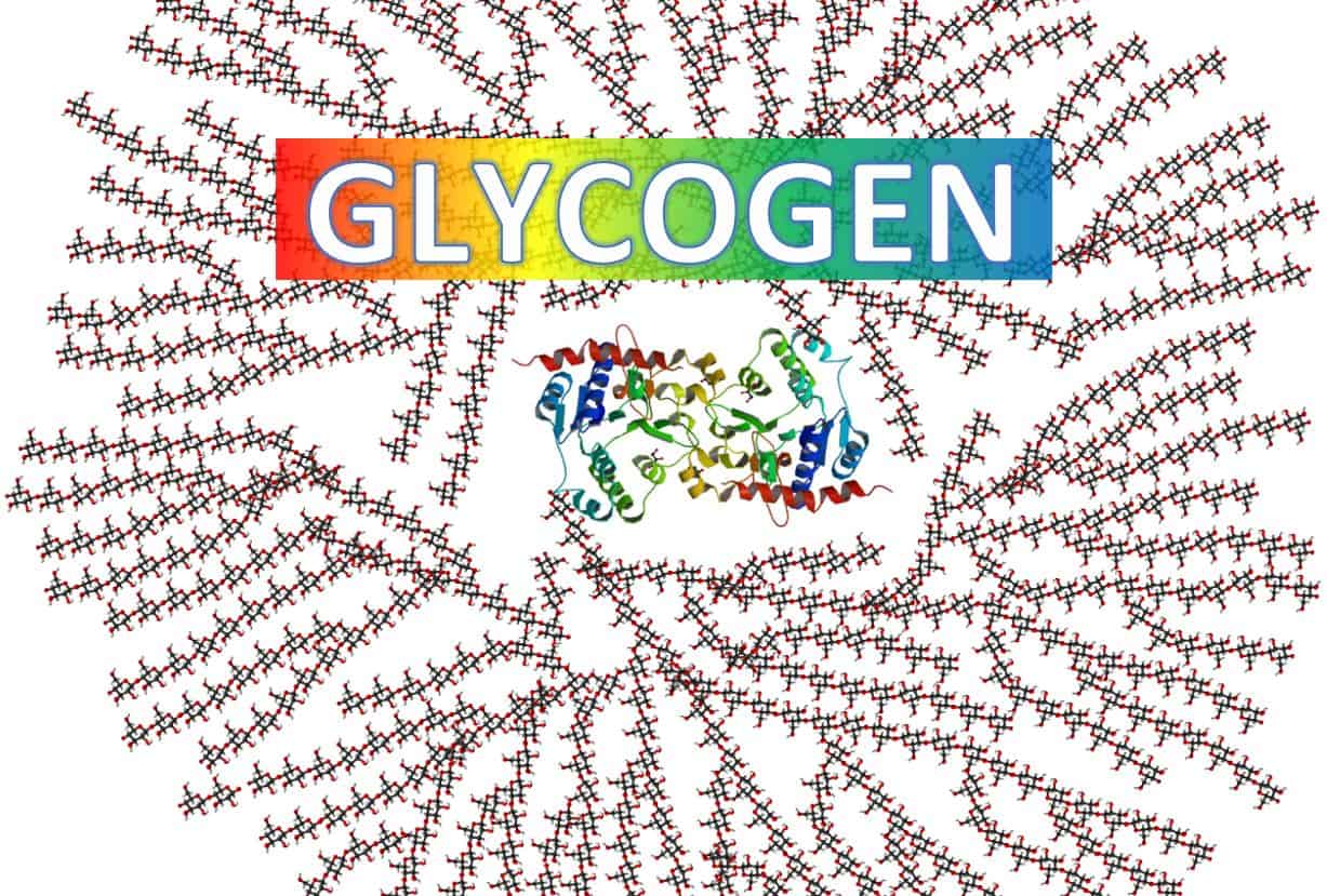 Glycogen Trong Skincare: Giải Pháp Nạp Năng Lượng Tế Bào Và Chống Lão Hóa Chuyên Sâu