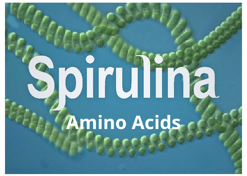 Spirulina Amino Acids (Tảo Xoắn) Trong Mỹ Phẩm Có Tác Dụng Gì?