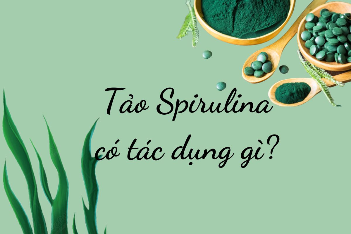 7+ Công Dụng Của Tảo Xoắn Spirulina Nhật Đối Với Sức Khỏe Và Làm Đẹp