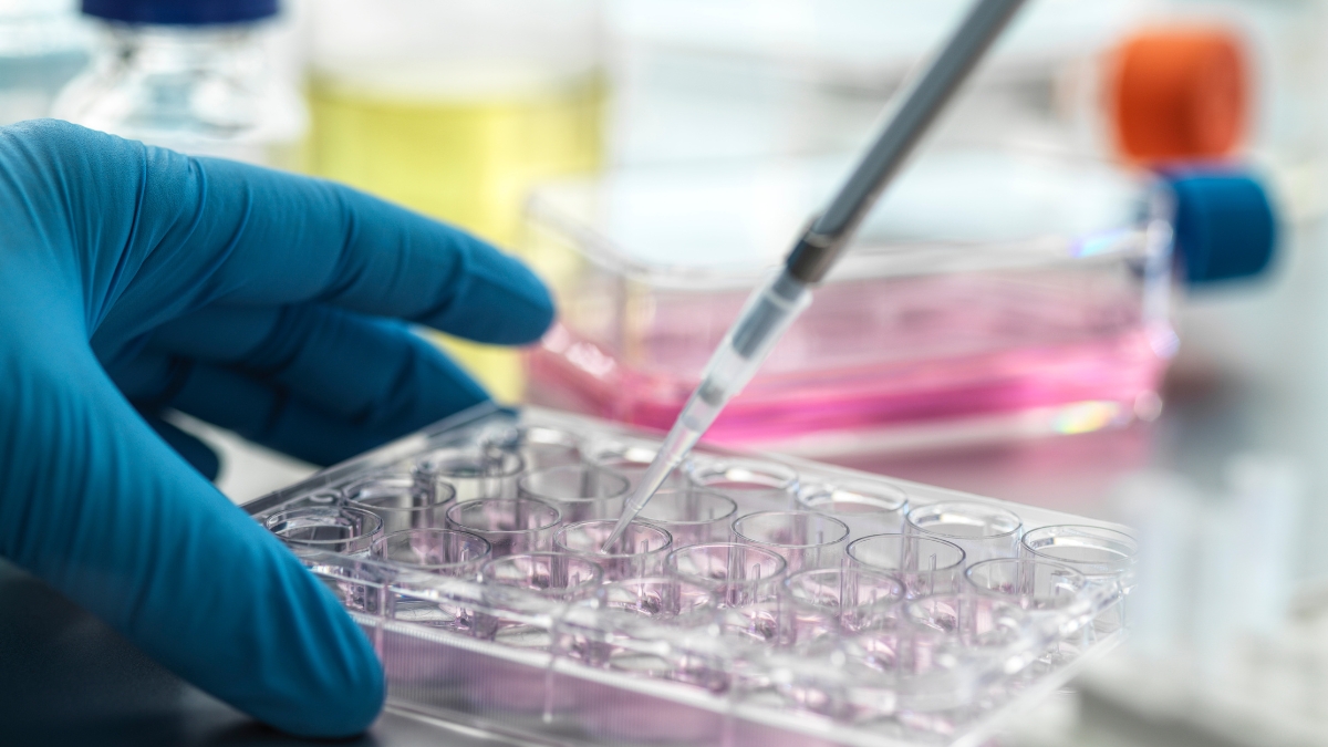 Tế bào gốc trong y học: Vai trò, thành tựu và thách thức