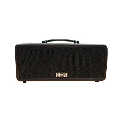 Loa kéo di động Acnos KBeatBox KS361MS