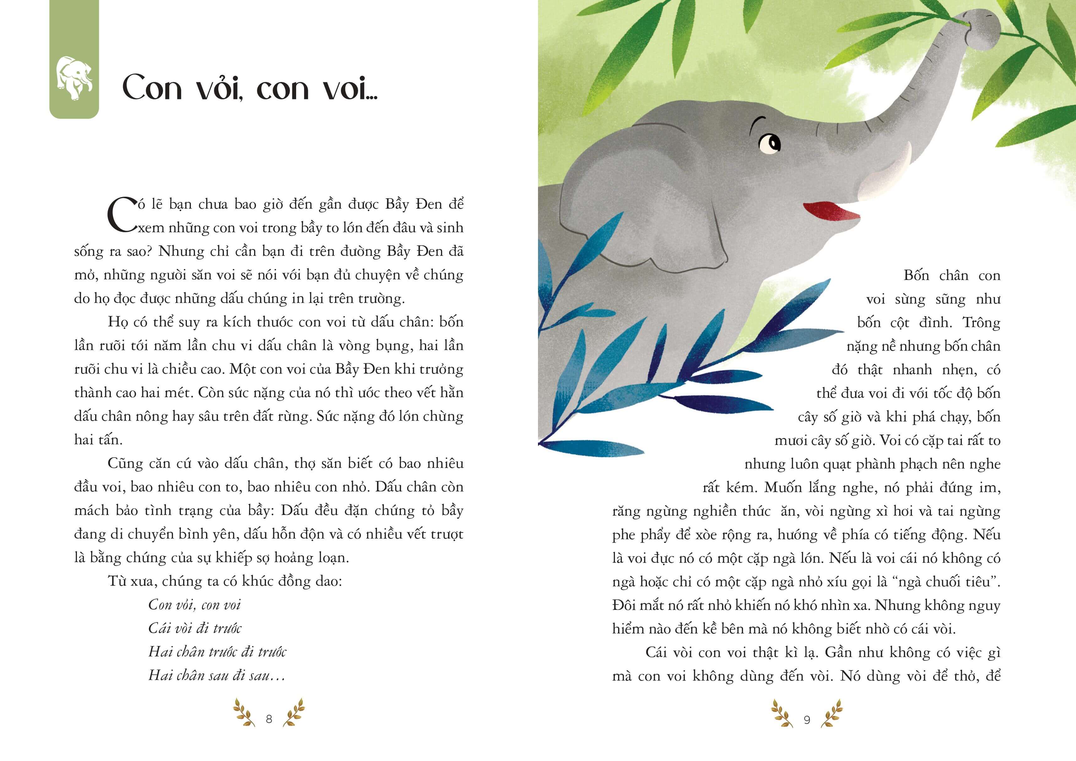 Combo 05 cuốn của tác giả Vũ Hùng: Con Cu li của tôi; Sống giữa bầy voi; Sao sao: Bầy voi đen; Giữ lấy bầu mật