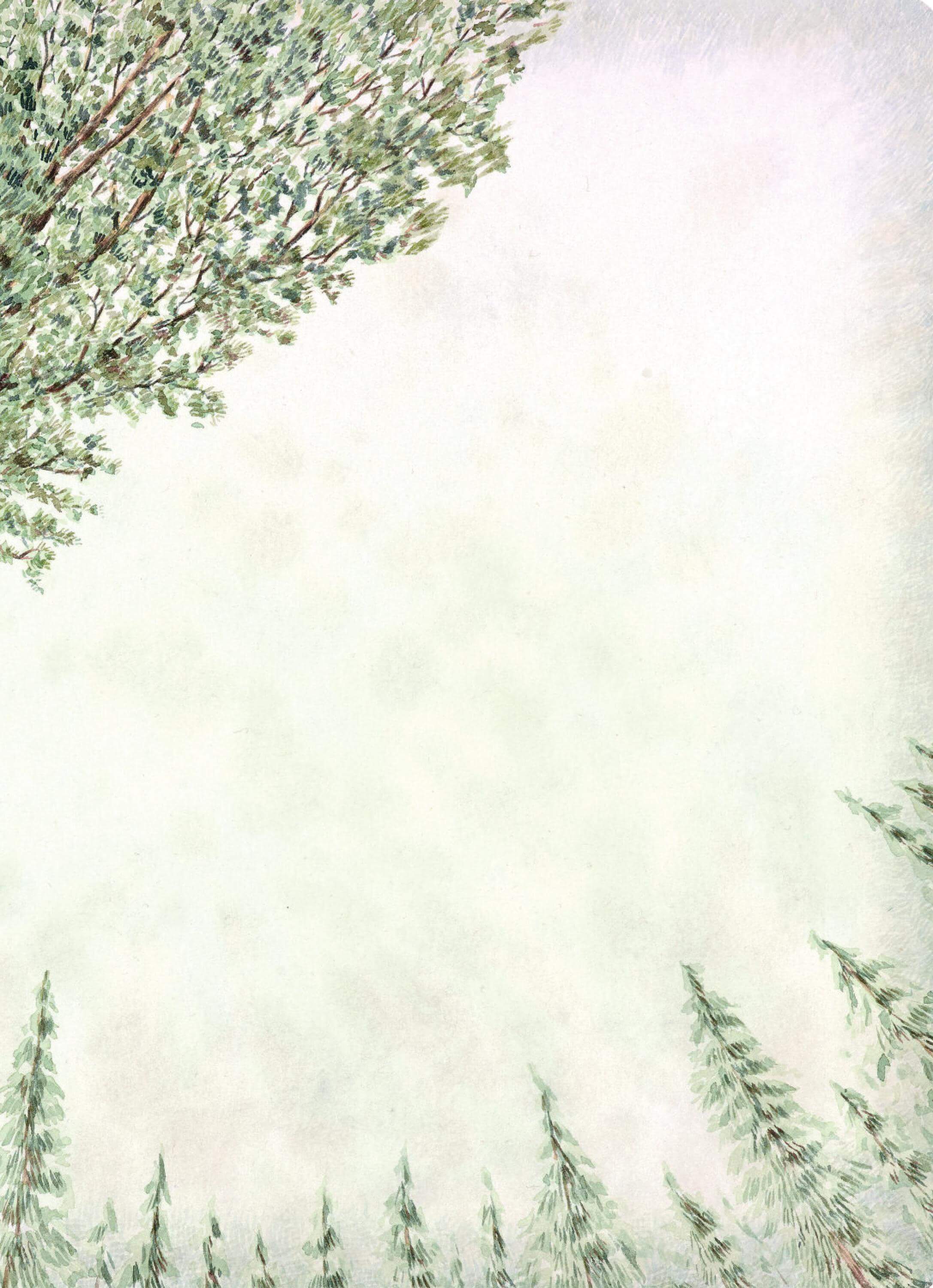 Chuyện kể trên những nhành cây