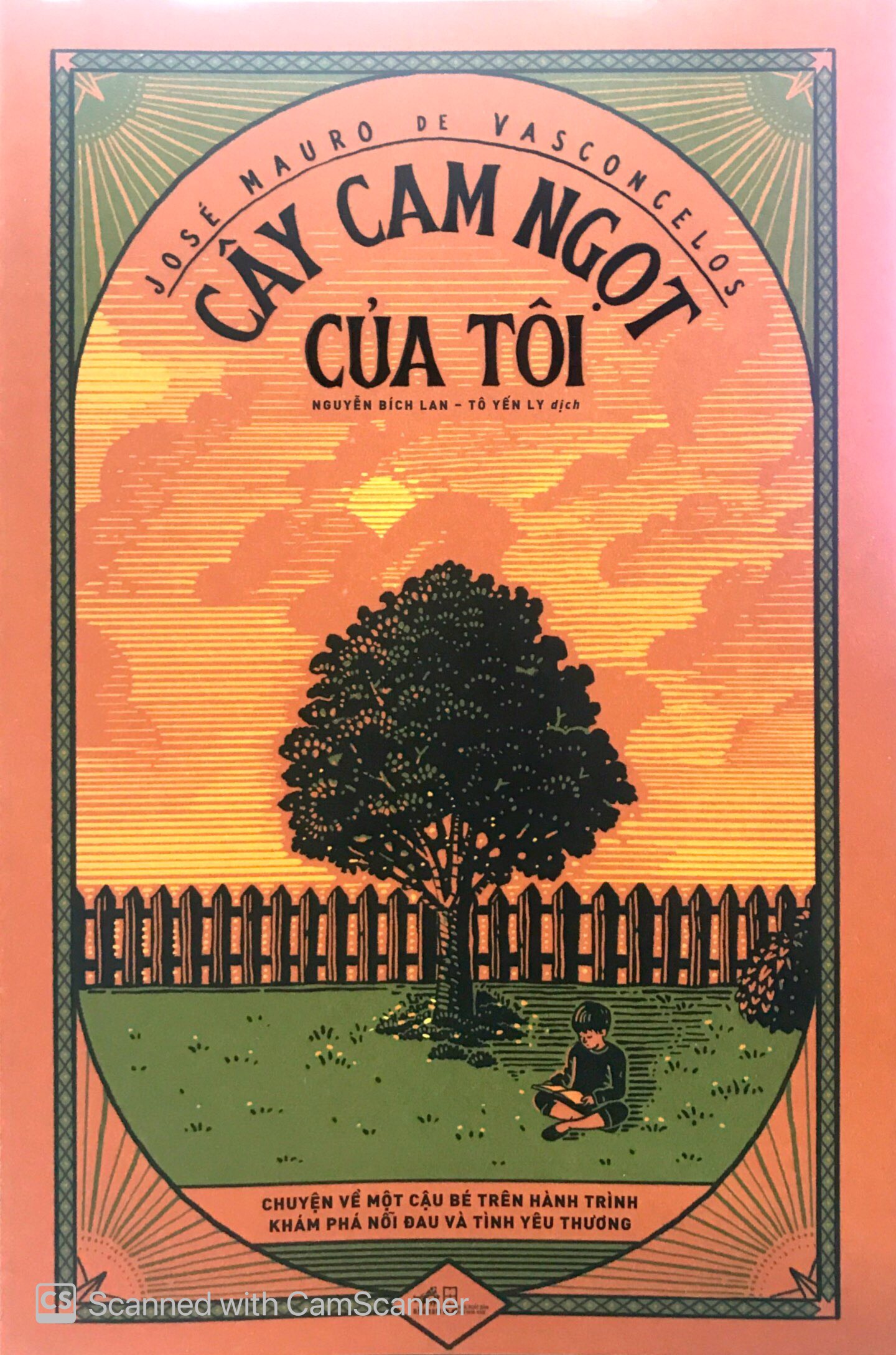 Cây cam ngọt của tôi