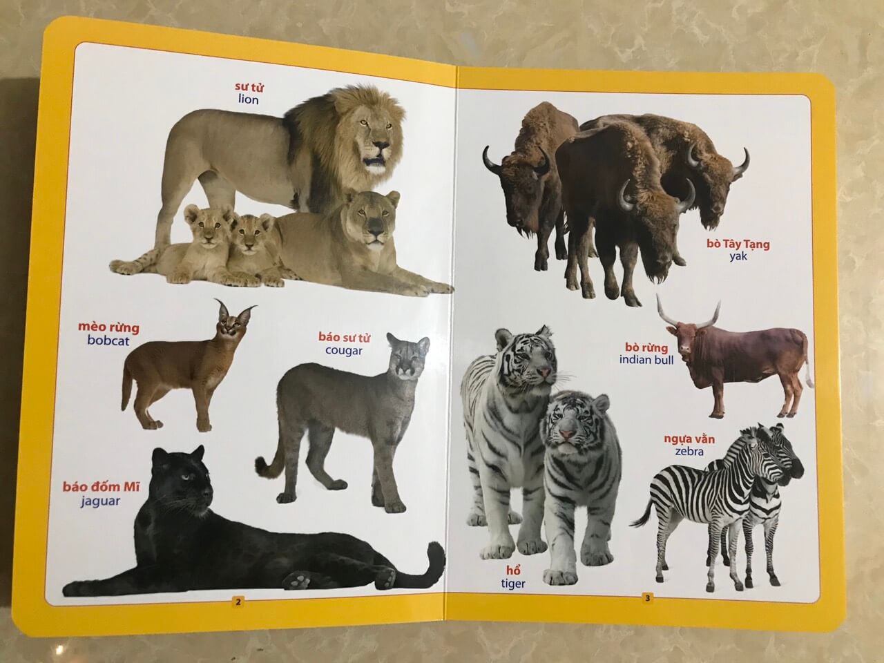 Từ điển bằng hình - loài vật quanh em - song ngữ
