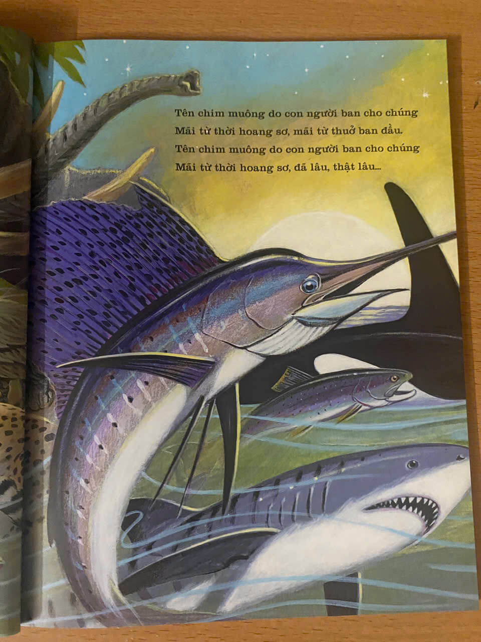 Tên chim muông do con người ban cho chúng