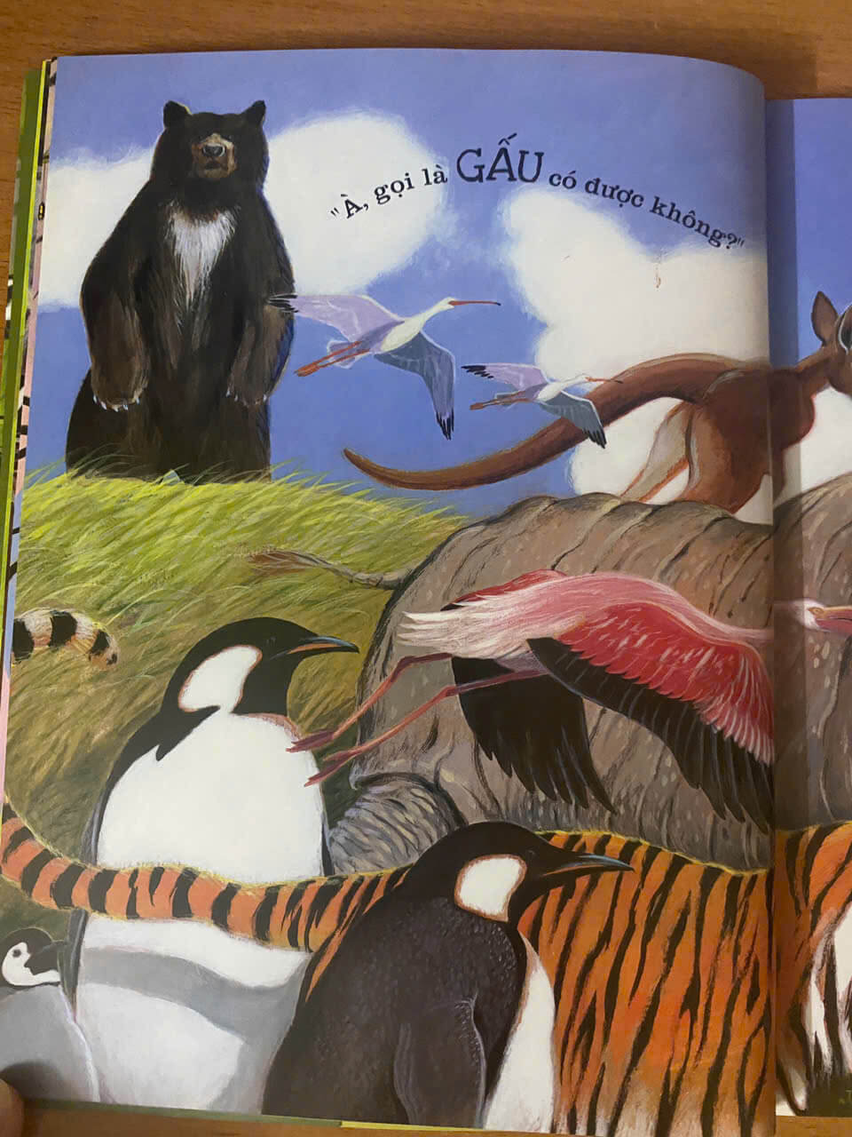 Tên chim muông do con người ban cho chúng