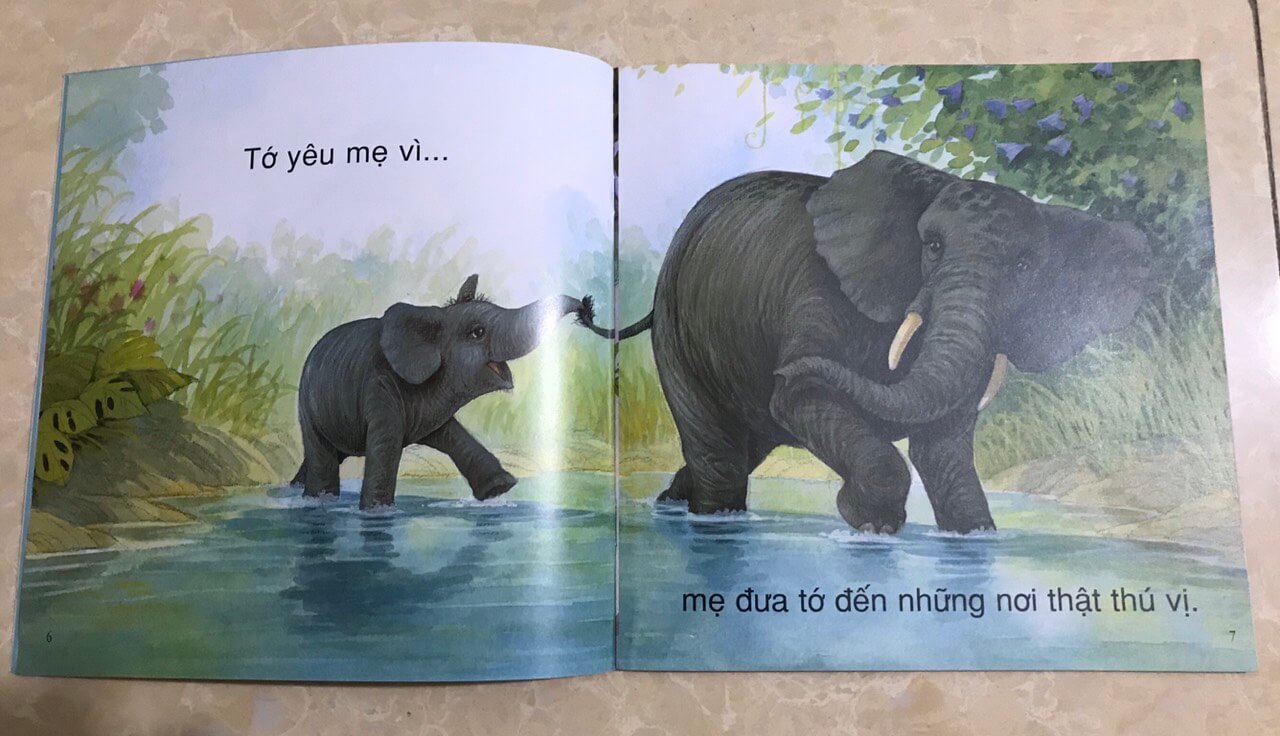 Vì sao tớ yêu - bộ 04 cuốn