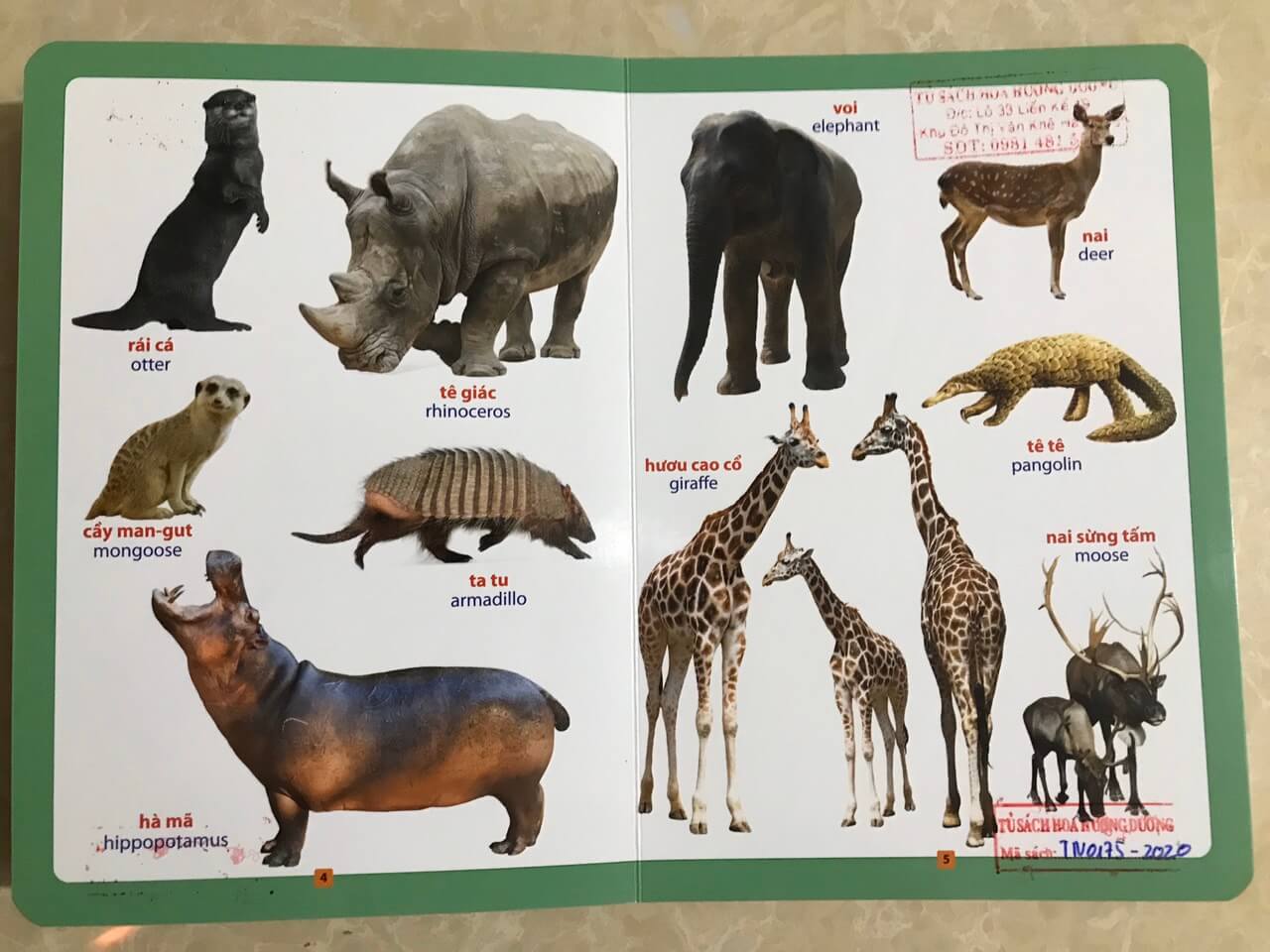 Từ điển bằng hình - loài vật quanh em - song ngữ