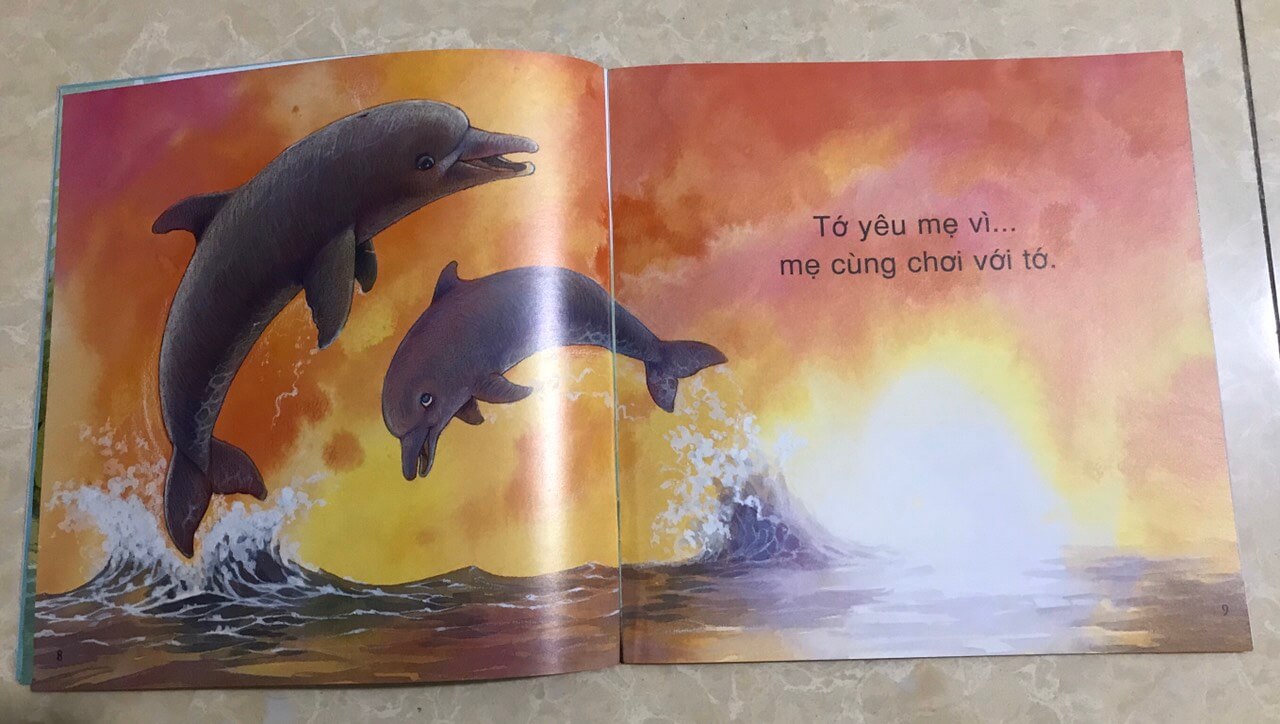 Vì sao tớ yêu - bộ 04 cuốn