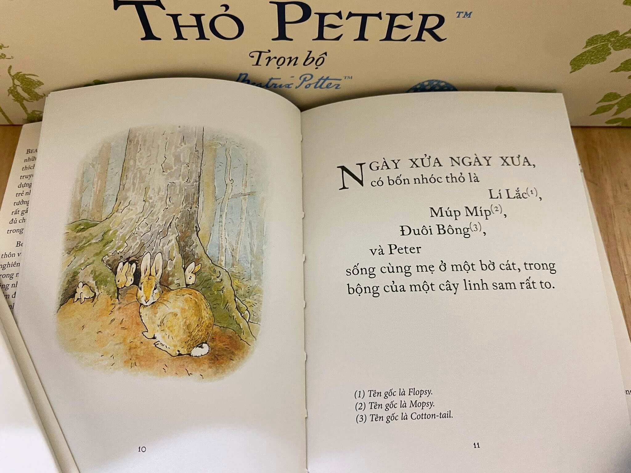 Truyện - Boxset 23 tập thỏ Peter