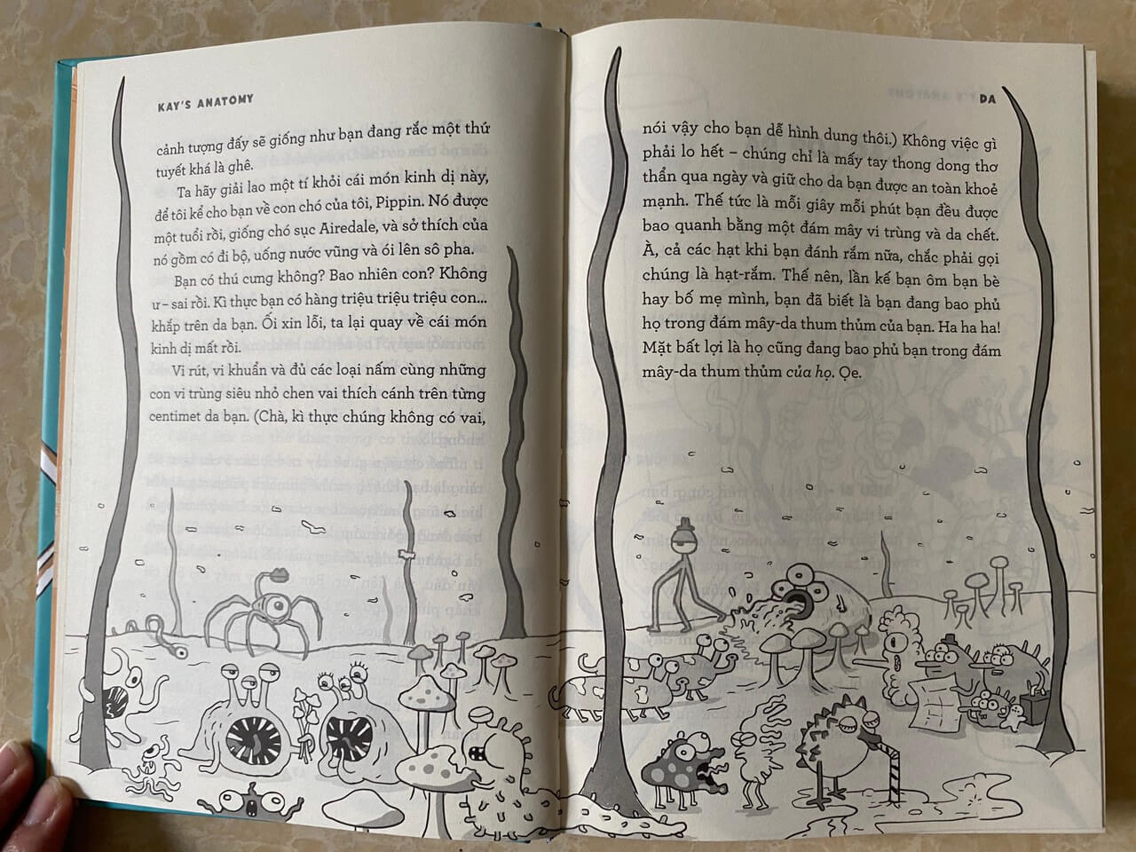 Giải phẫu cơ thể người - một cuốn sách cực ngầu về giải phẫu cơ thể