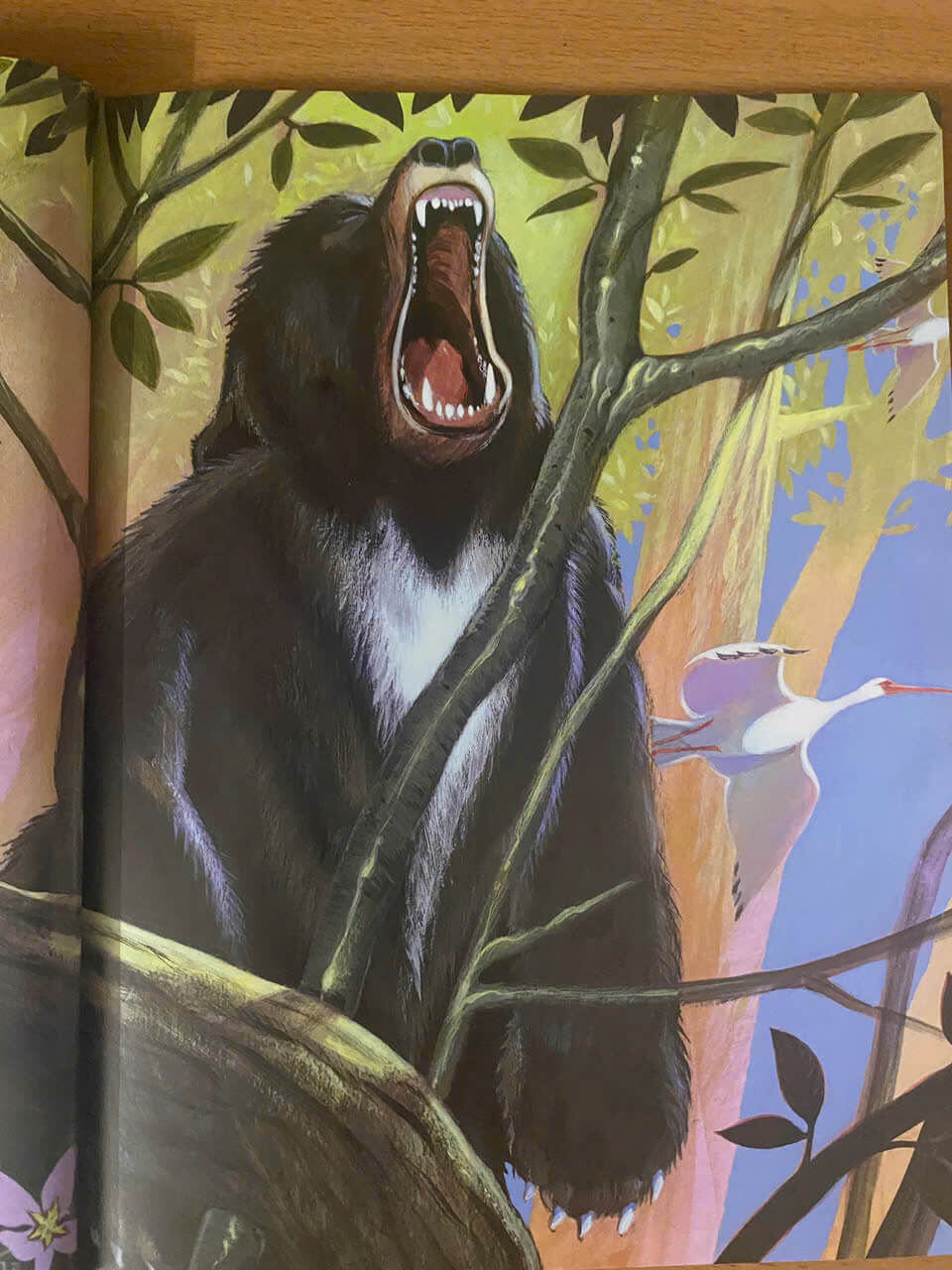 Tên chim muông do con người ban cho chúng