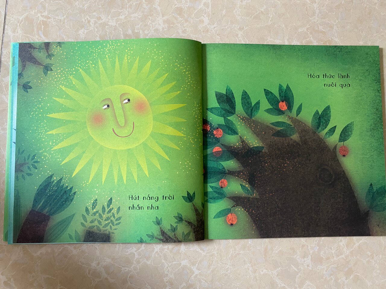 COMBO VẠN VẬT THẦM THÌ (3 QUYỂN)