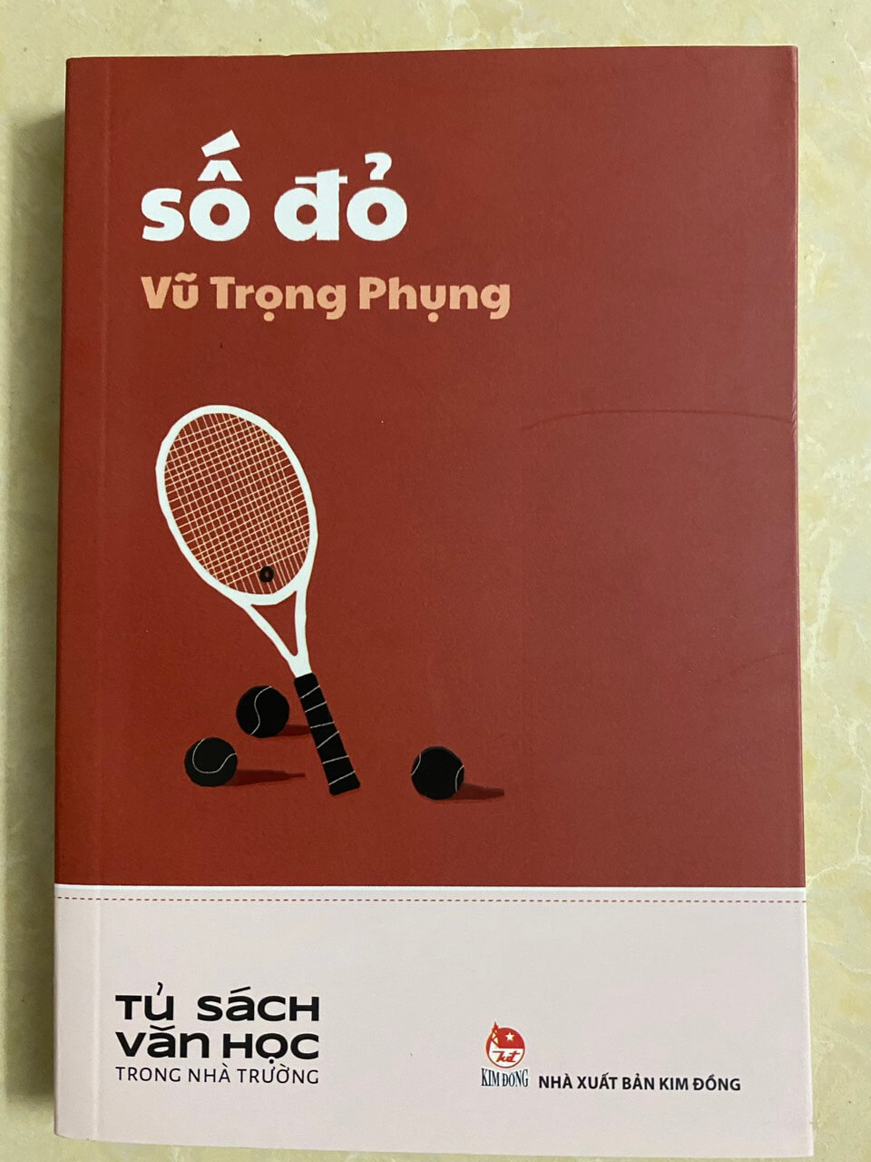 Văn học trong nhà trường - Số đỏ