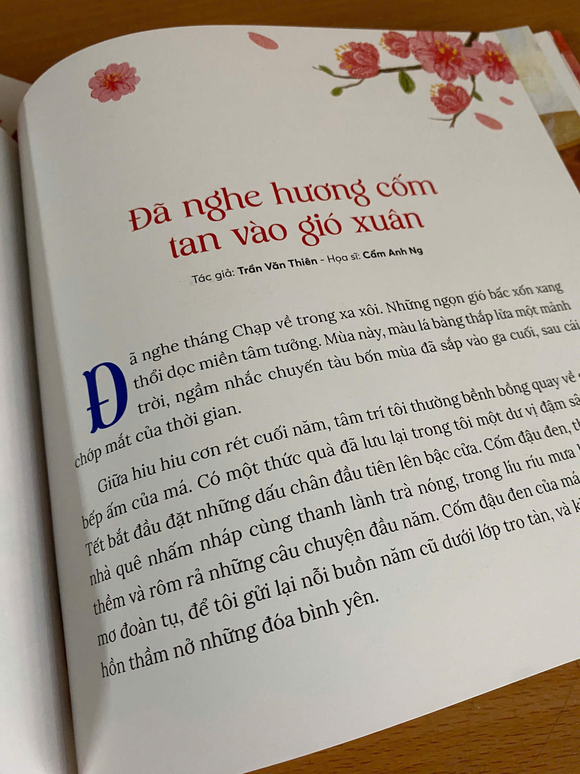 Nhâm Nhi Tết - Bính Ngọ