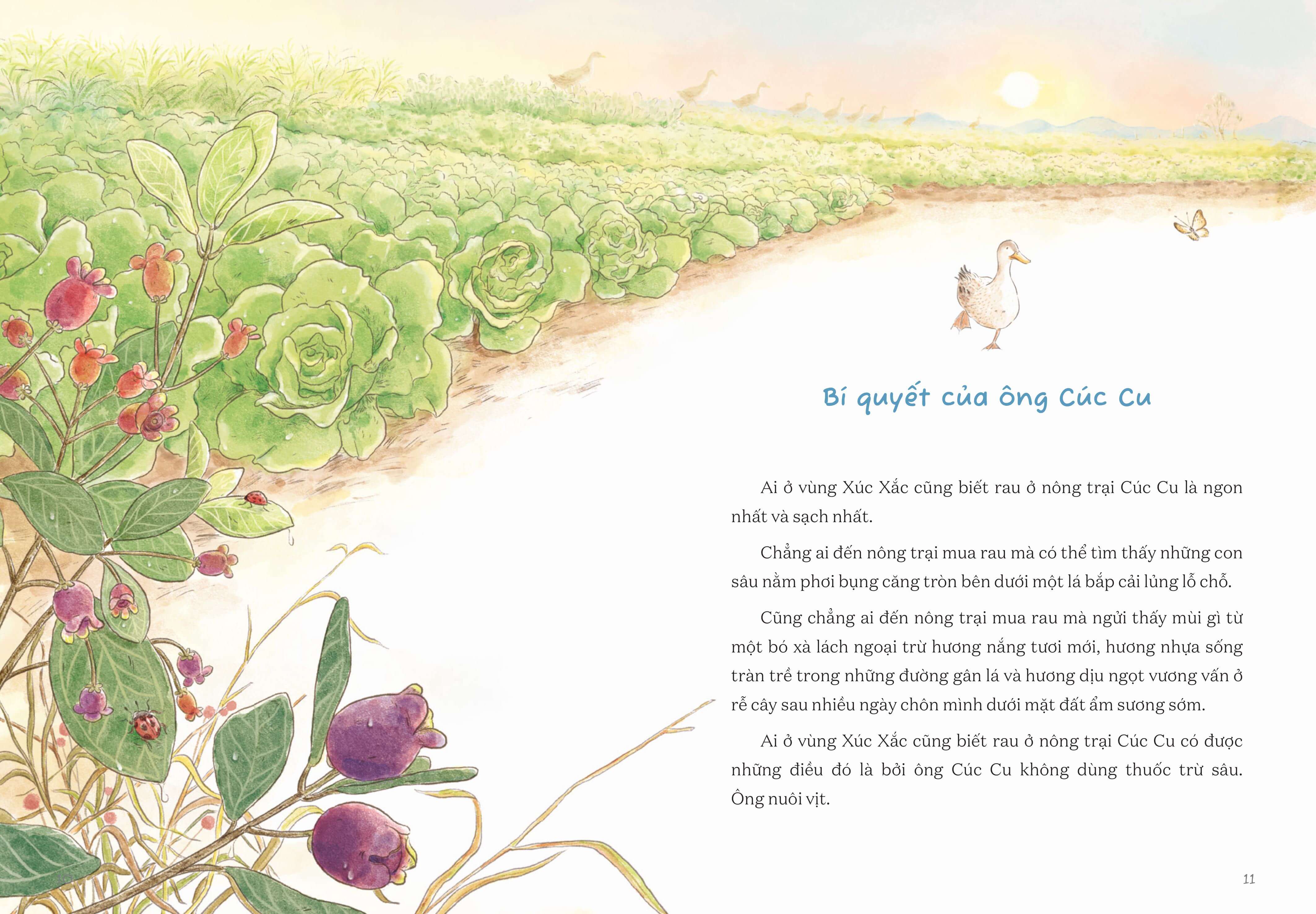 Từ những ruộng rau ở nông trại Cúc Cu