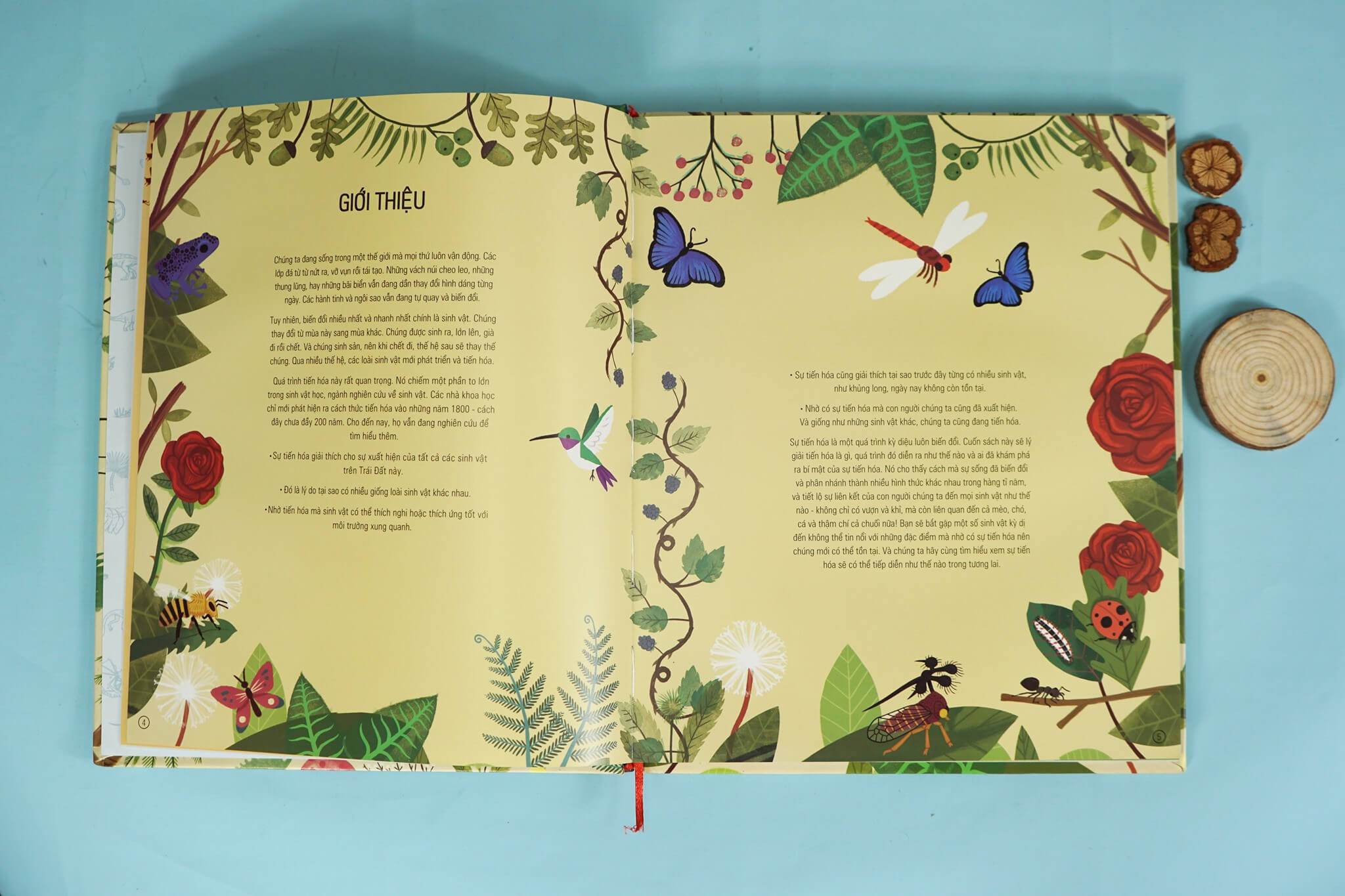 Hành trình của sự sống