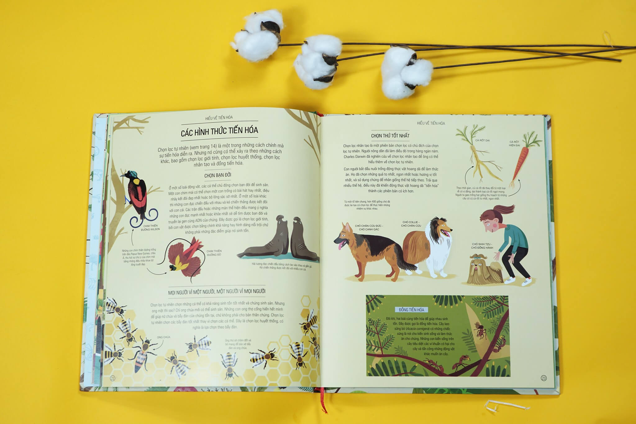 Hành trình của sự sống