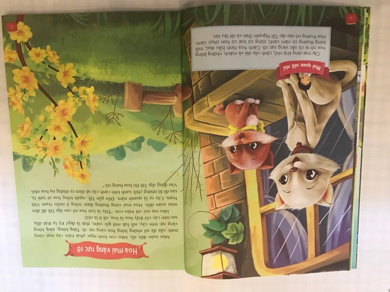 Câu chuyện của thiên nhiên - bộ 4 cuốn