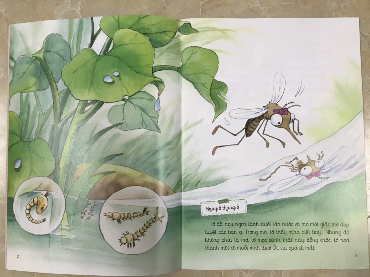 Nhật kí thế giới côn trùng