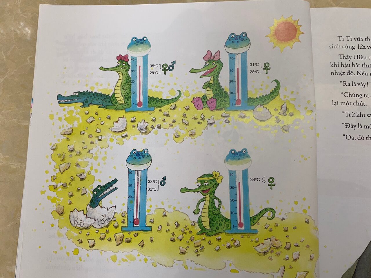 Combo 04 cuốn: Khẽ chạm vào tự nhiên