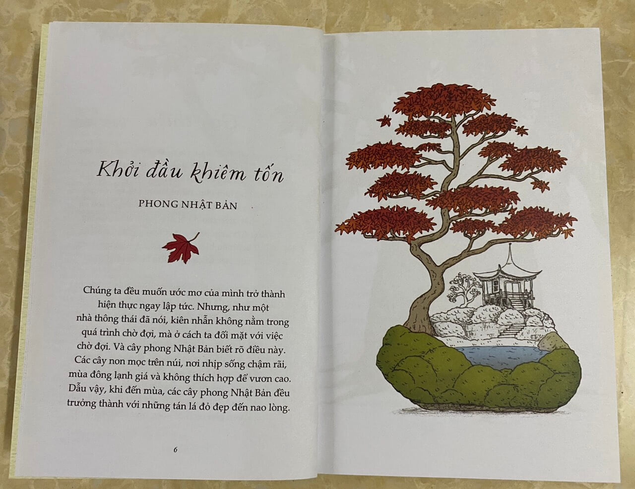 Combo 2 cuốn Sống Như Những Cái Cây + Sống Một Đời Tựa Biển Khơi