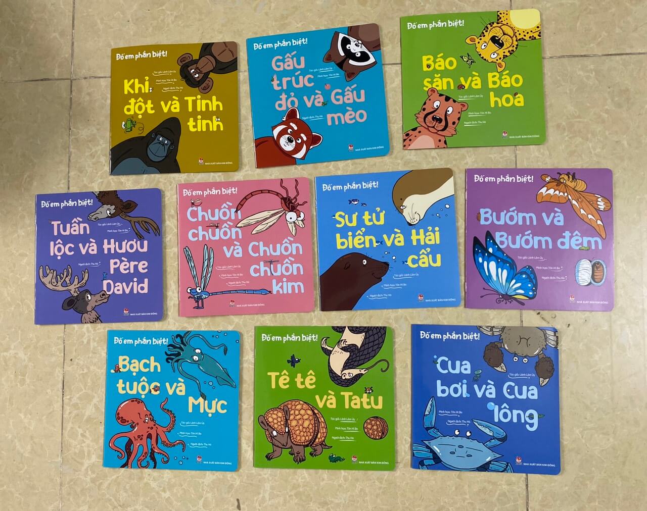 Combo 10 cuốn: đố em phân biệt