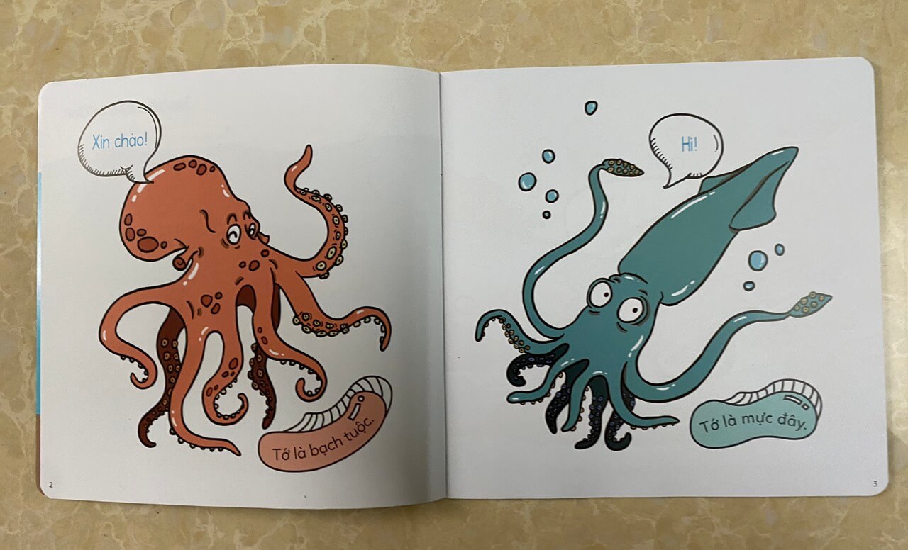 Combo 10 cuốn: đố em phân biệt