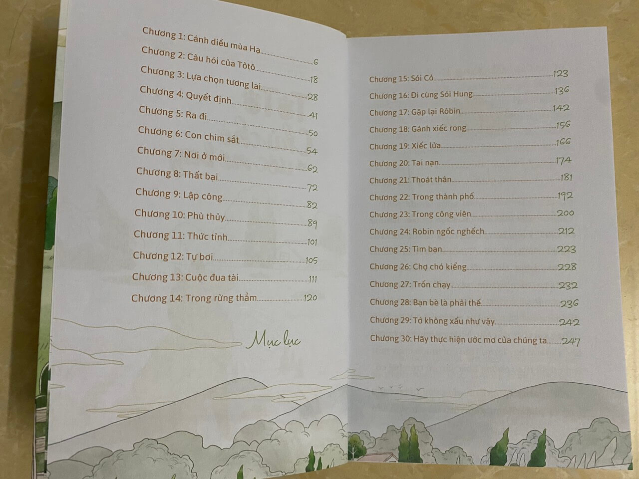 Tô Tô chú chó với ước mơ bay