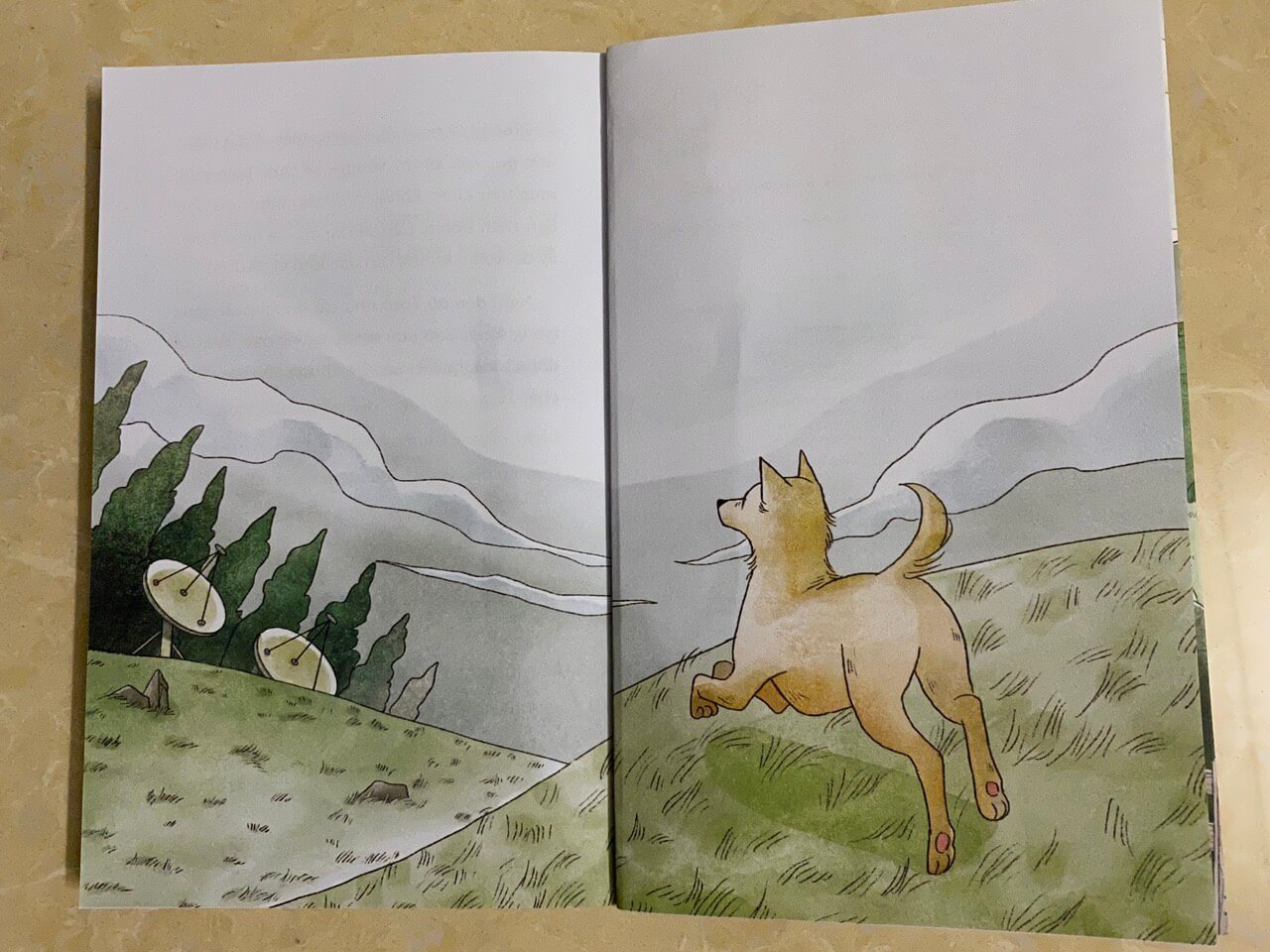 Tô Tô chú chó với ước mơ bay