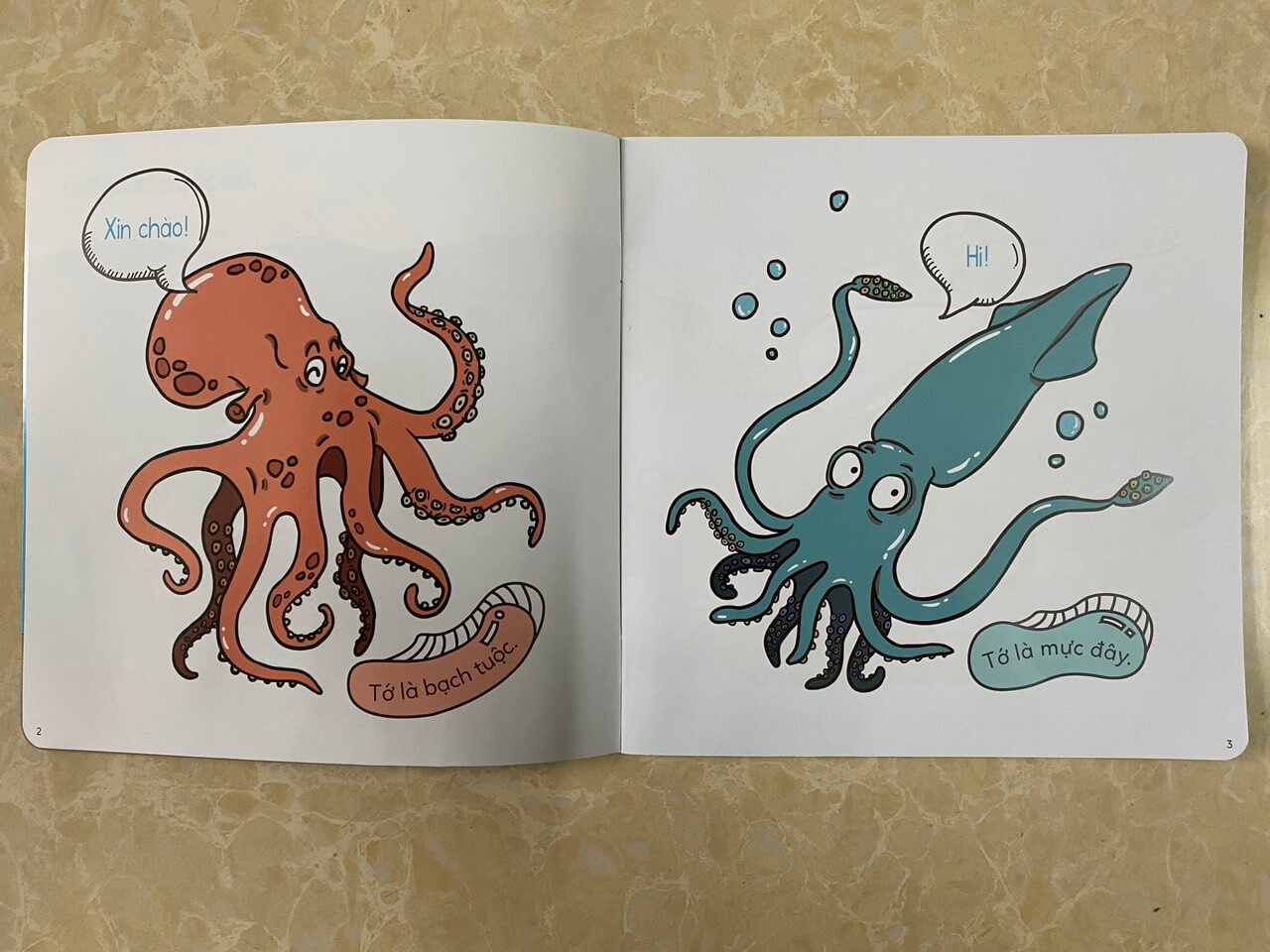 Combo 10 cuốn Đố em phân biệt