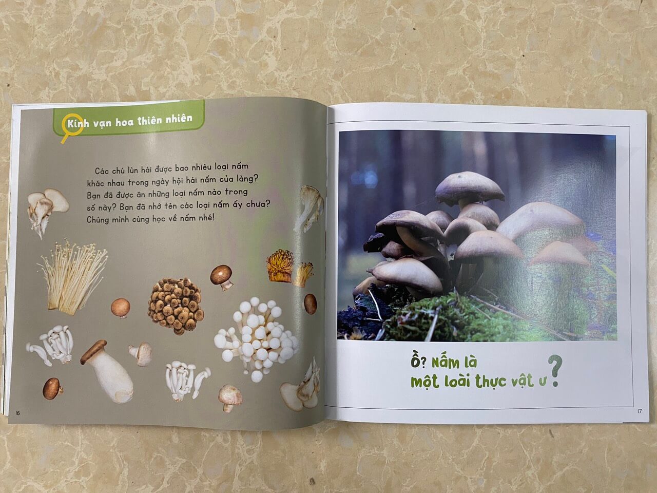 Combo 12 cuốn: Kính vạn hoa thiên nhiên