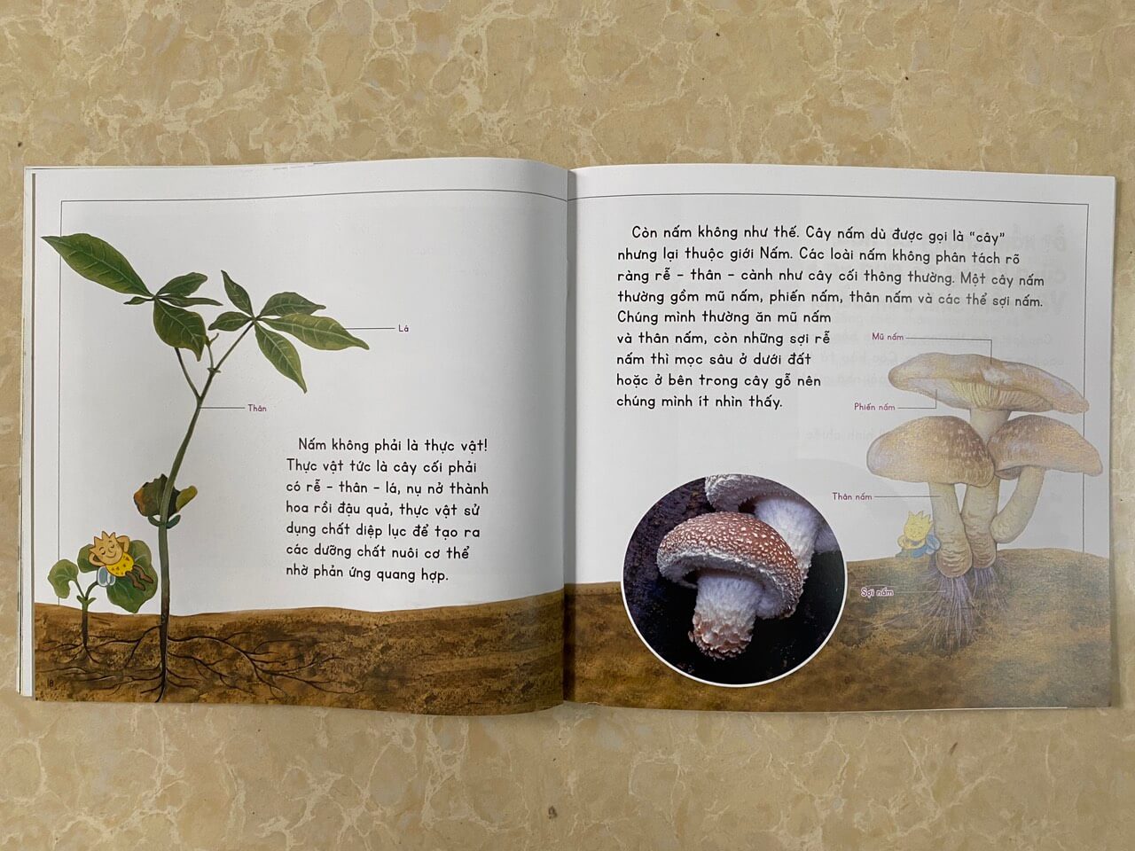 Combo 12 cuốn: Kính vạn hoa thiên nhiên