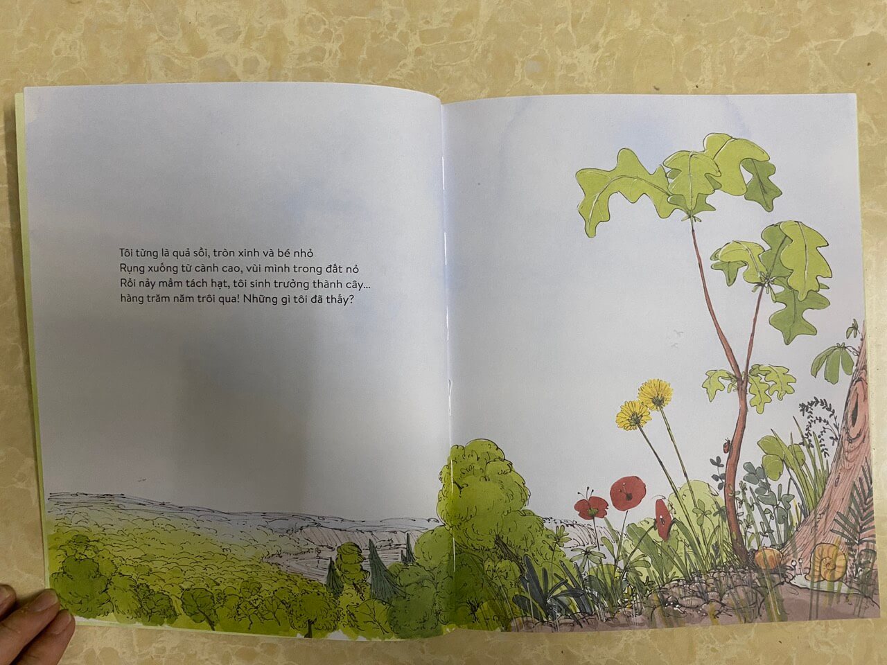 Combo 03 cuốn: Vẹt đuôi dài đã trông thấy những gì? Voi đã nghe thấy những gì? Cây đã nhìn thấy những gì?