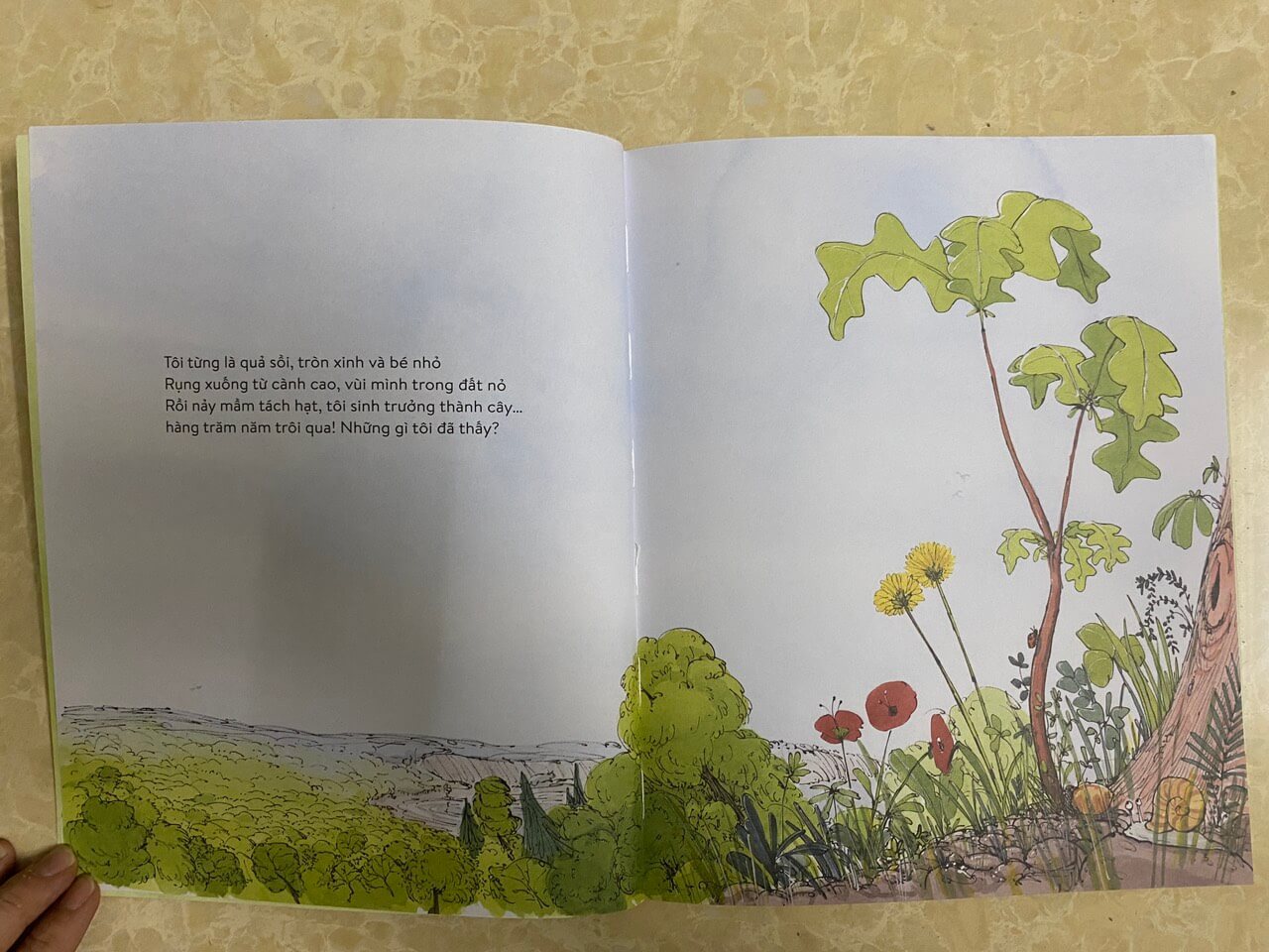 Combo 03 cuốn: Vẹt đuôi dài đã trông thấy những gì? Voi đã nghe thấy những gì? Cây đã nhìn thấy những gì?